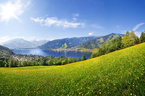 summer view zeller see