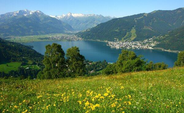 summer zeller see