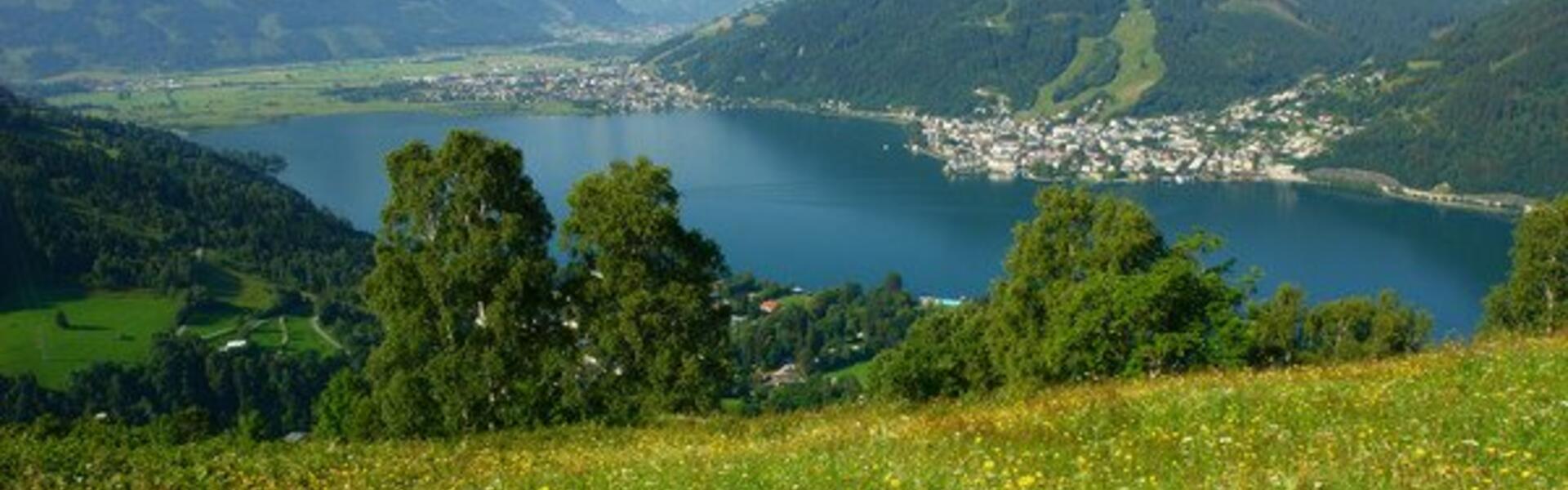 summer zeller see