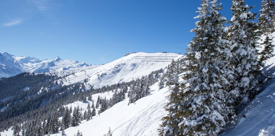 winter nature kaprun