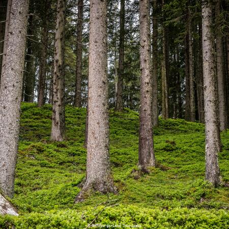 nationalpark hohe tauern