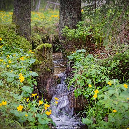 creek national park hohe tauern