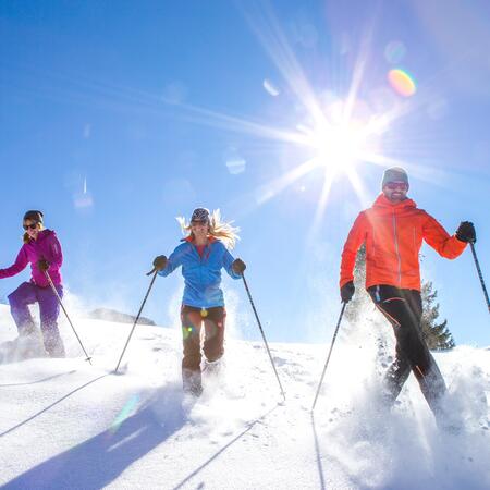 schneeschuhwandern gruppe